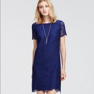 Ann Taylor Blue Flower Mosaic Lace Shift Dress